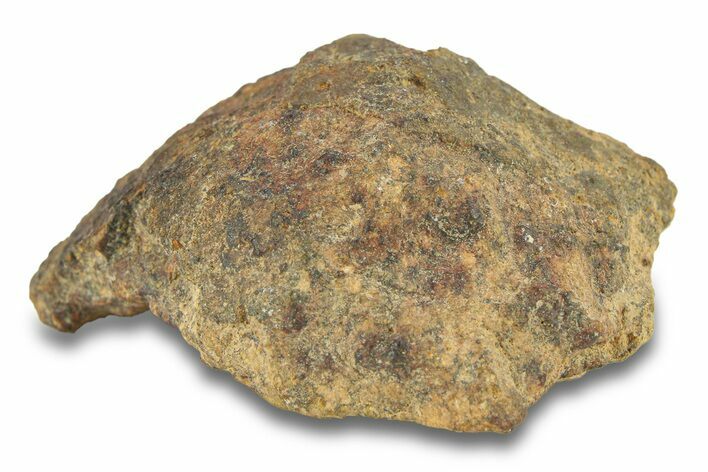 Gold Basin Chondrite Meteorite ( g) - Arizona #282817